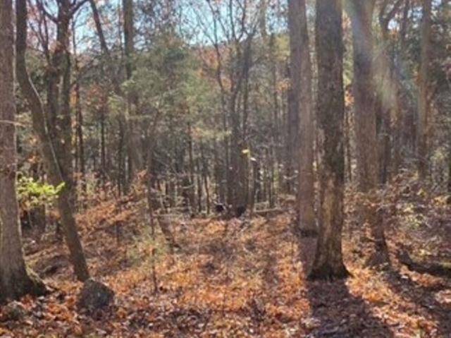 Land for sale in Bowling Green, Kentucky