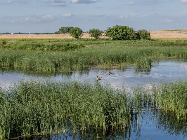 Land for sale in Buena Vista, Iowa