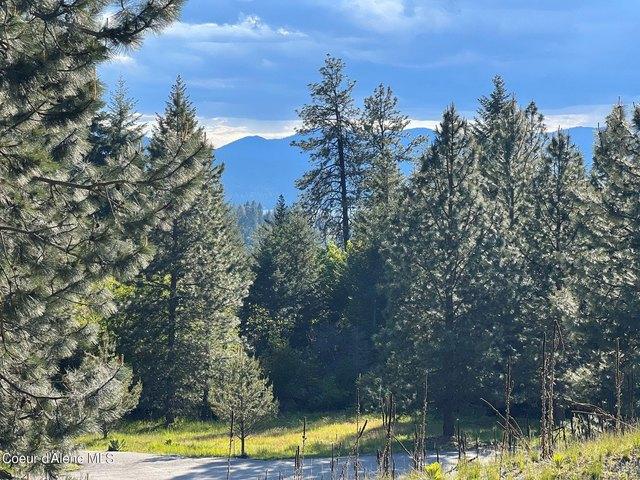 Land for sale in Harrison, Idaho