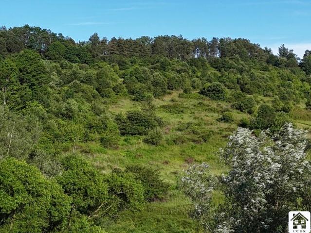Land for sale in New York