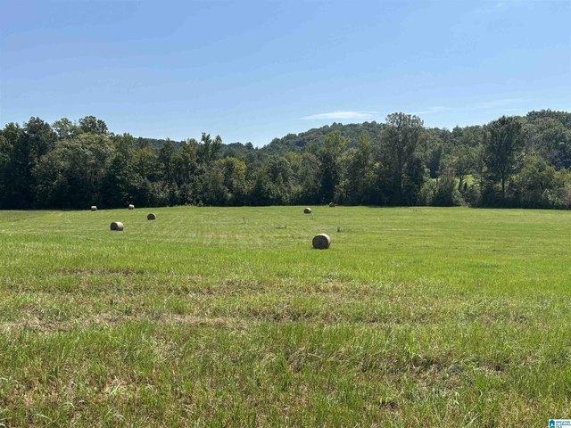 Land for sale in Springville, Alabama