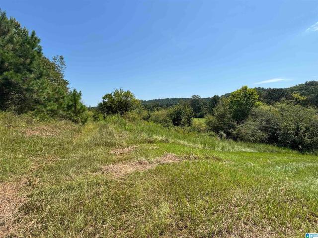 Land for sale in Odenville, St. Clair County