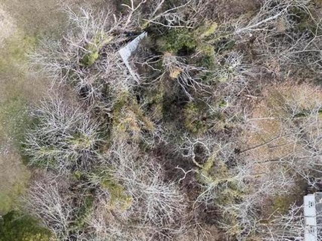 Land for sale in Cedarville, New Jersey