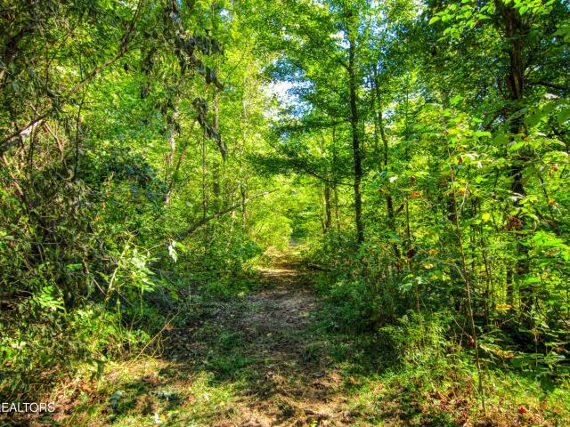 Land for sale in Double Top, Byrdstown