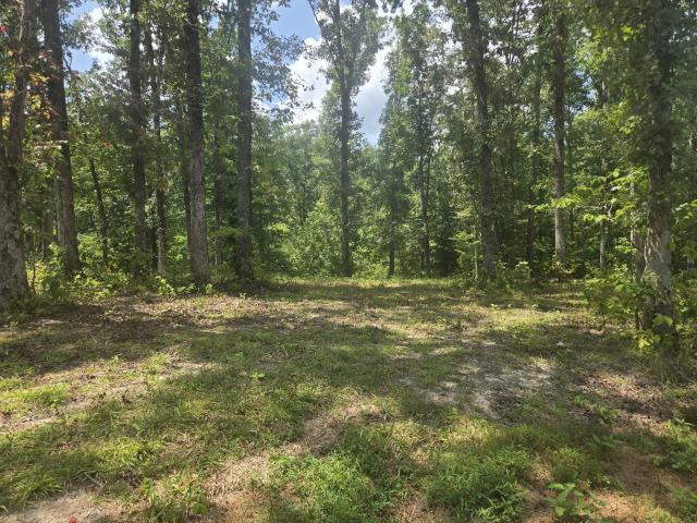 Land for sale in Tennessee