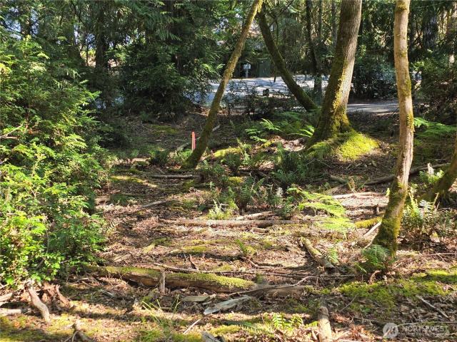 Land for sale in Shelton, Washington