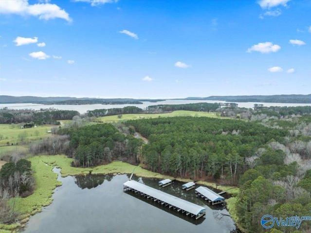 Land for sale in Langston, Alabama