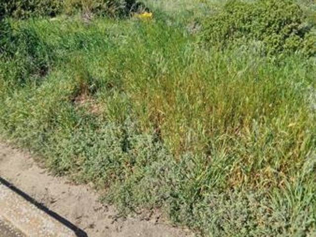 Land for sale in Western Cape