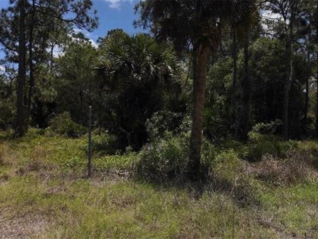 Land for sale in Clewiston, Florida