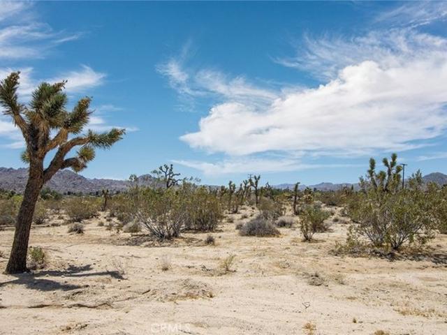 Land for sale in Joshua Tree, California