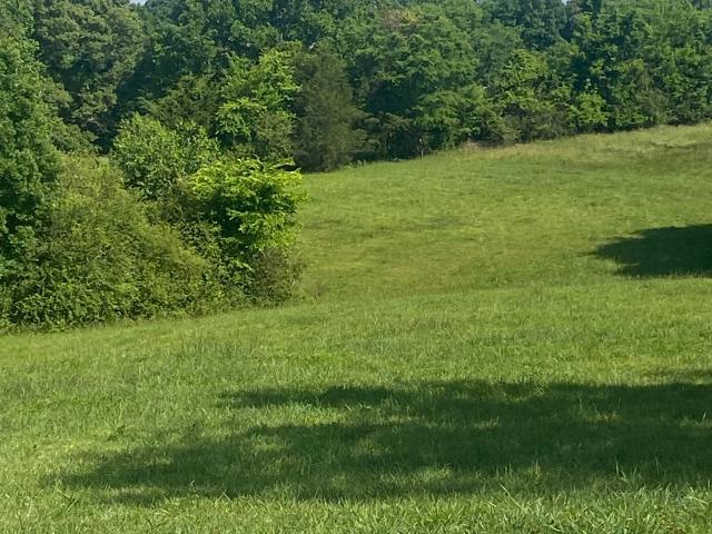 Farm for sale in Anderson, Alabama