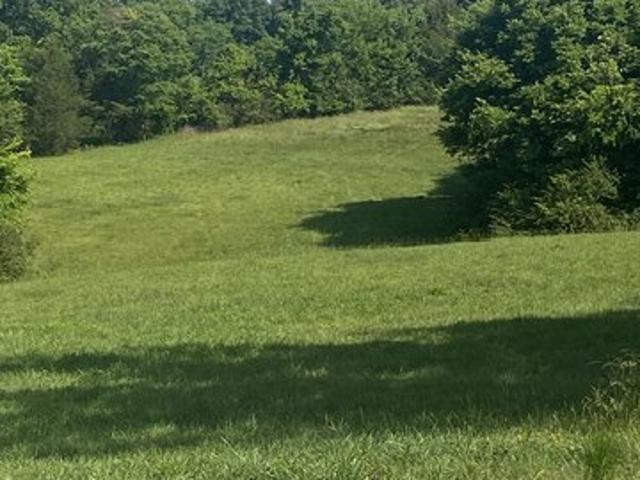 Farm for sale in Anderson, Alabama