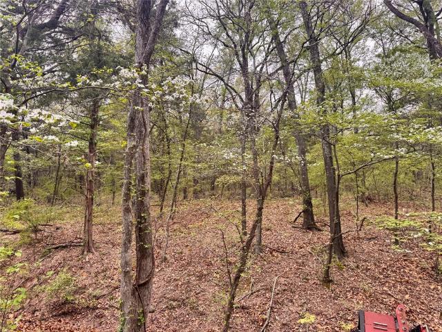 Land for sale in Fannin, Texas
