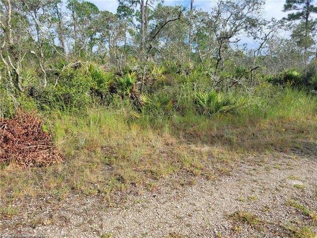 Land for sale in Lake Placid, Florida