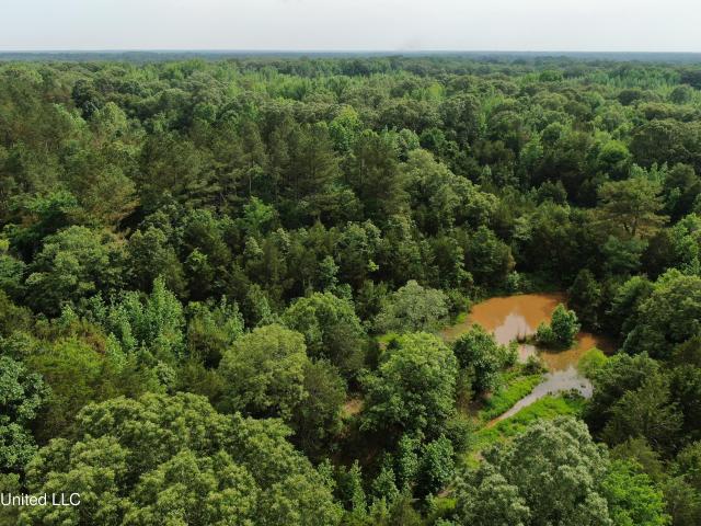 Land for sale in Tate, Mississippi