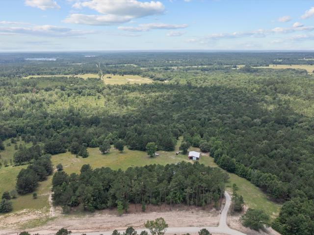 House for sale in Grapeland, Texas