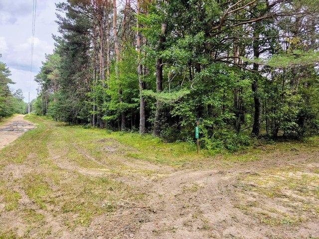 Land for sale in Grayling, Michigan