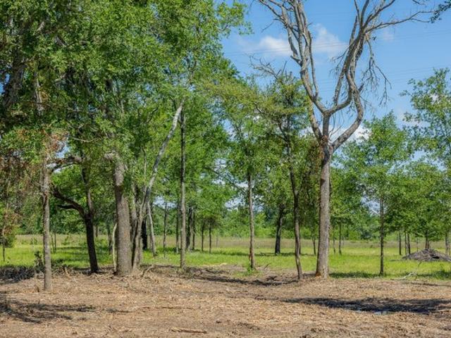 Land for sale in Grimes, Texas