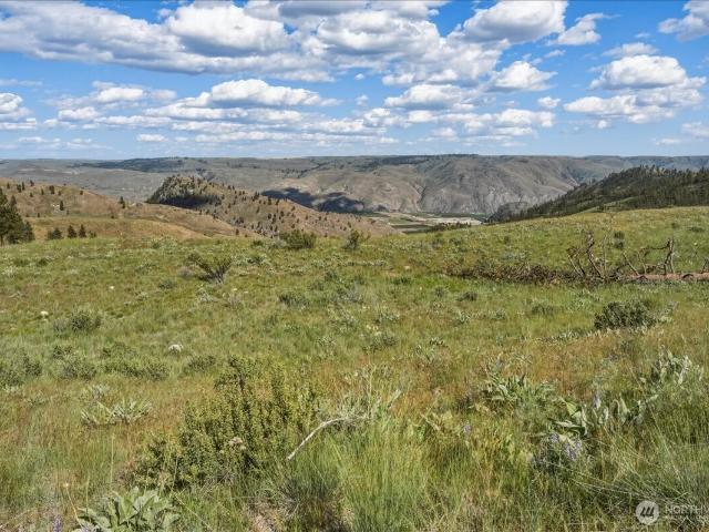 Land for sale in Chelan, Washington