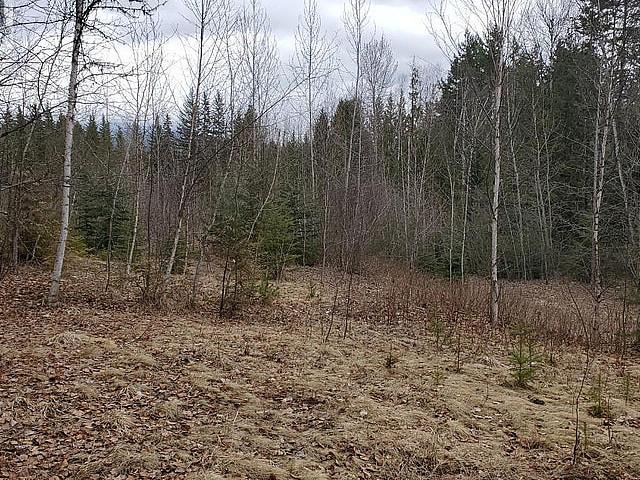 Land for sale in British Columbia