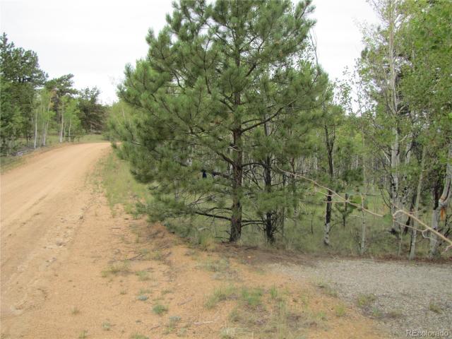 Land for sale in Hartsel, Colorado