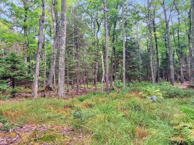 Land for sale in La Pointe, Wisconsin