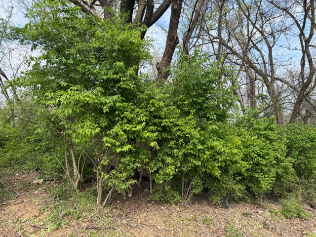 Land for sale in Tennessee