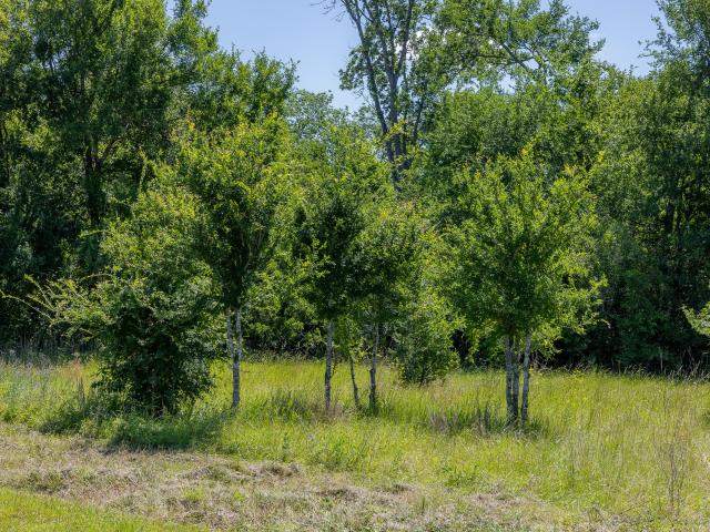 Land for sale in Grimes, Texas