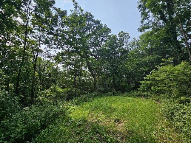 Land for sale in De Soto, Wisconsin
