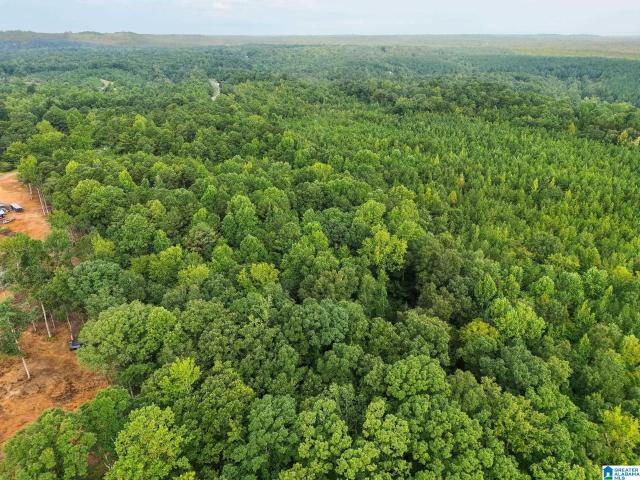 Land for sale in Clanton, Alabama