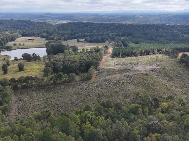 Land for sale in Tennessee