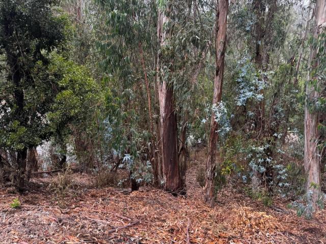 Land for sale in Oakland Land for sale in Oakland