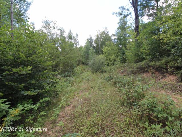 Land for sale in Michigan