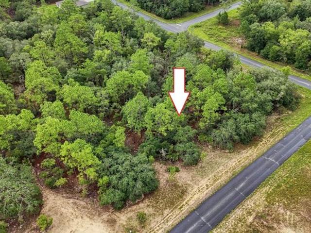 Land for sale in Dunnellon, Florida