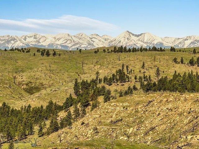 Land for sale in Reed Point, Montana