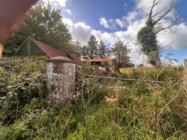 House for sale in Lecarrow, Connacht