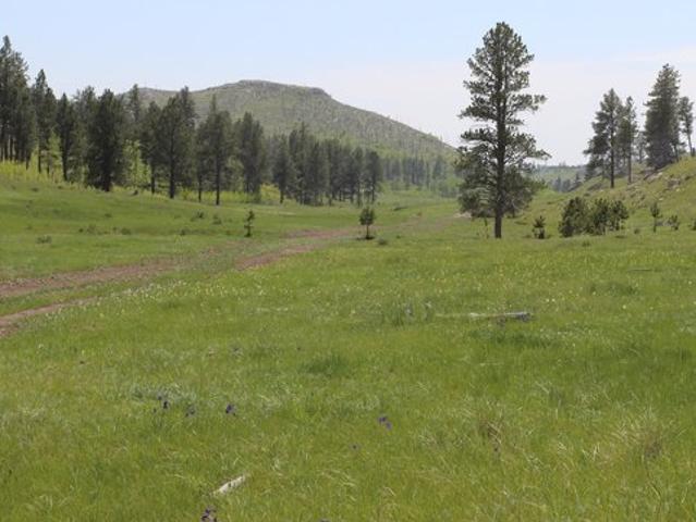 Land for sale in Custer, Custer County
