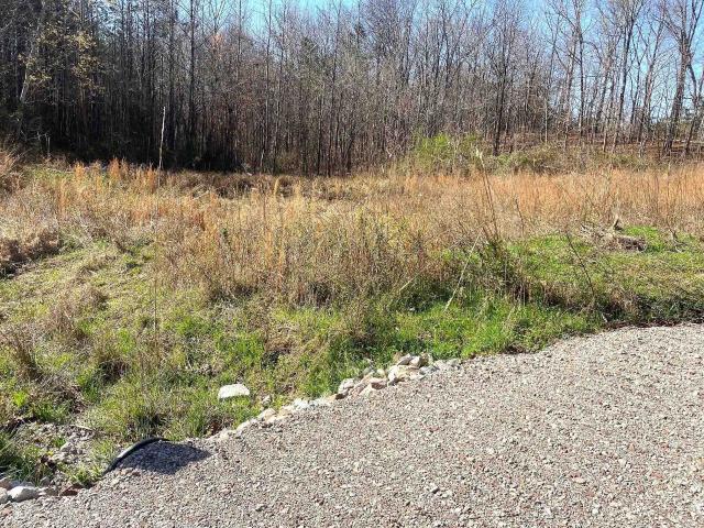 Land for sale in Tennessee