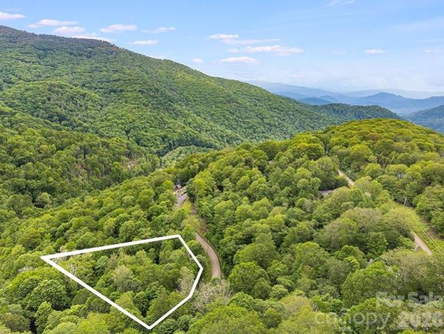 Land for sale in Mars Hill, North Carolina