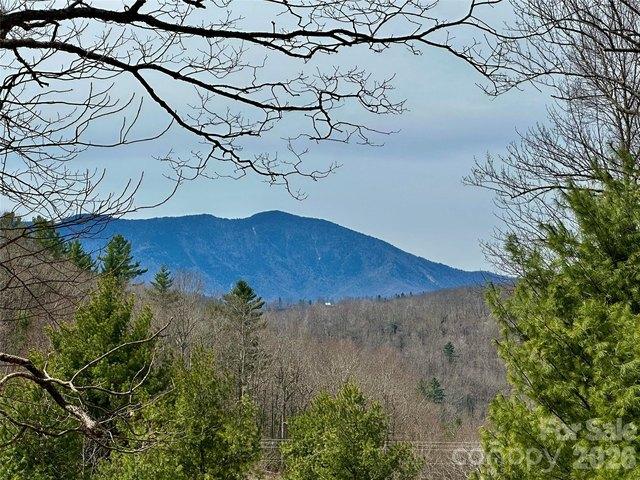 Land for sale in Little Switzerland, North Carolina