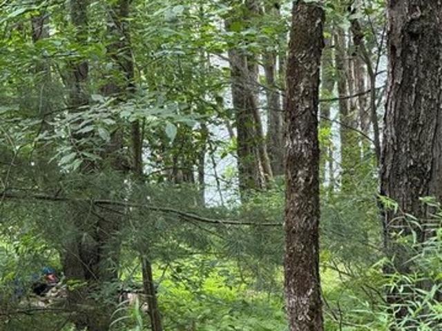 Land for sale in Chenango Bridge, New York
