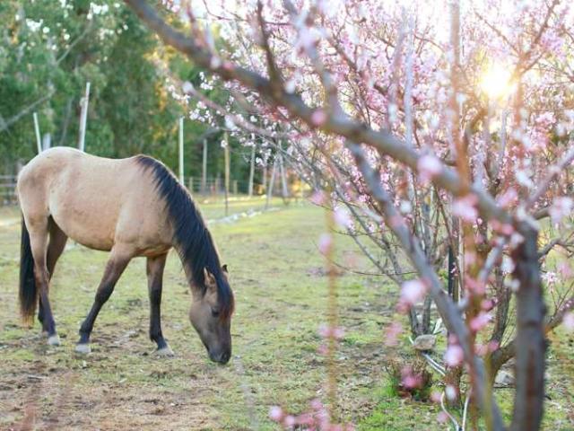 Property for sale in Otakou