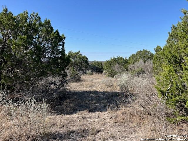 Land for sale in Uvalde