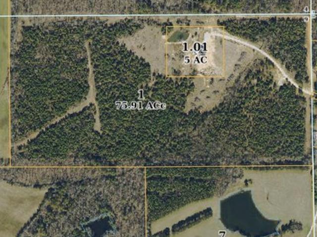 Land for sale in New Albany, Mississippi