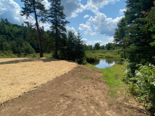 Land for sale in Essex County, New York