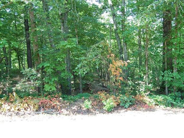 Land for sale in Tennessee