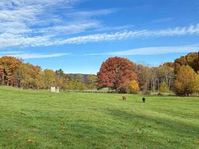 Farm for sale in Huttonsville, West Virginia