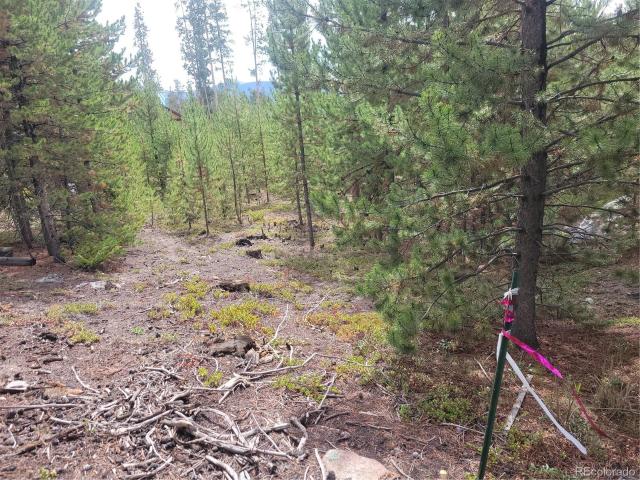 Land for sale in Grand Lake, Colorado