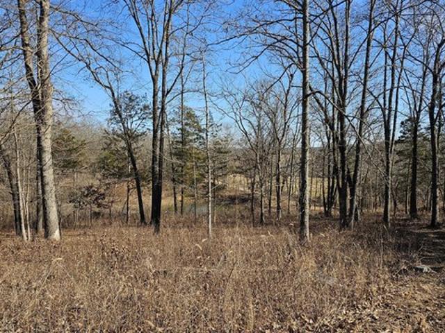 Land for sale in Brixey, Missouri