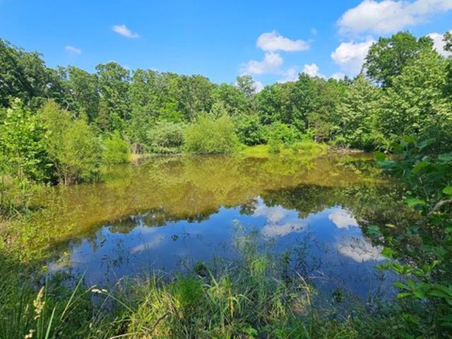 Land for sale in Brixey, Missouri